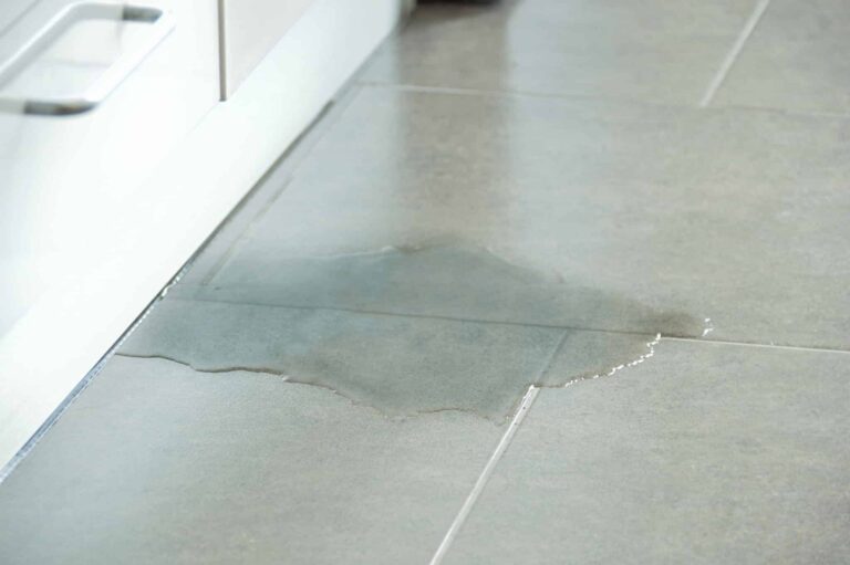 Calfo Close-up Photo Of Flooded Floor In Kitchen From Water Leak in pittsburgh